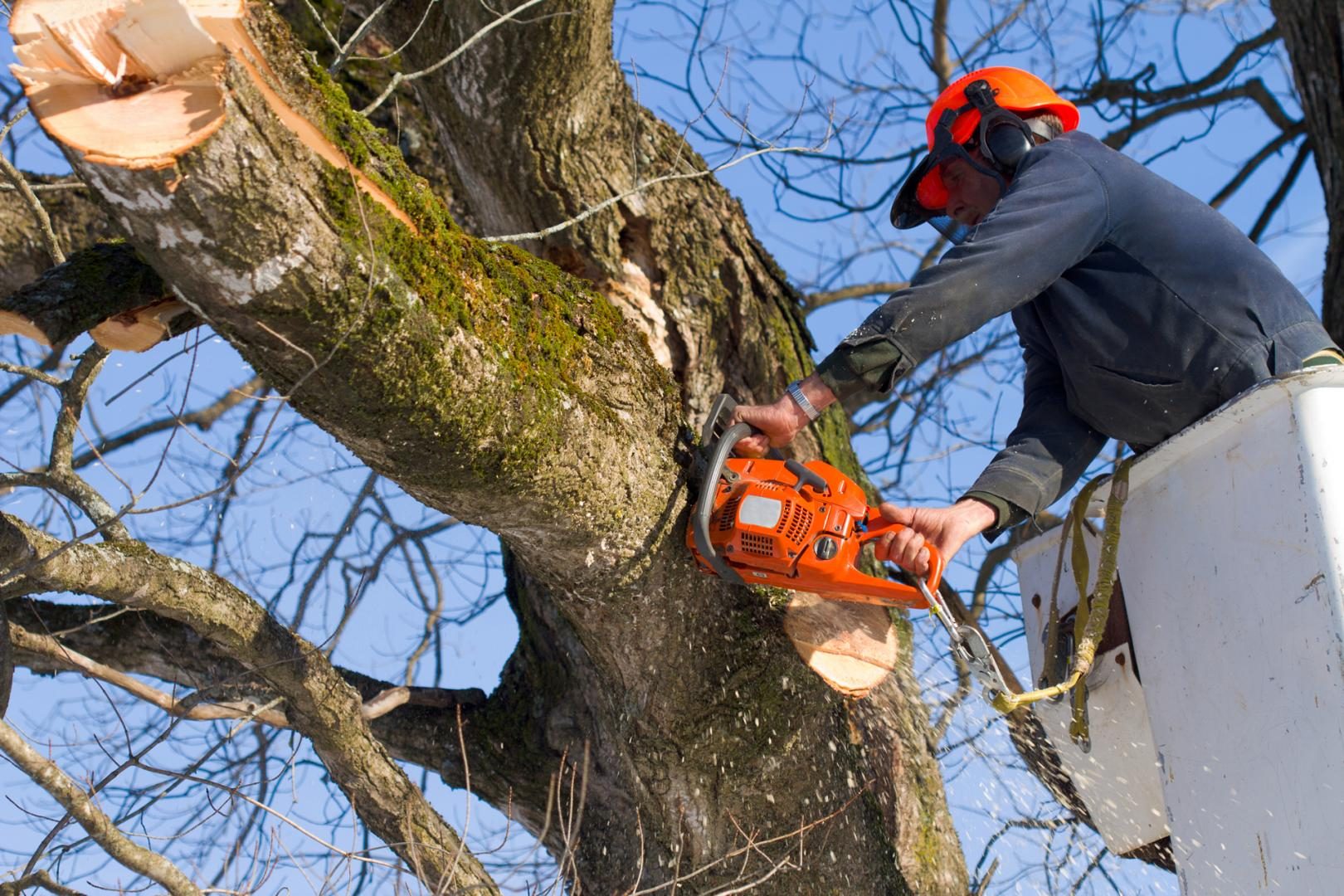 Travaux sur le parcours lundi 17 mai