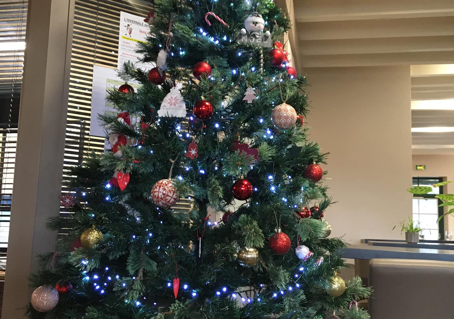 Cadeaux de Noël 🎄 🎁 🏌️‍♂️